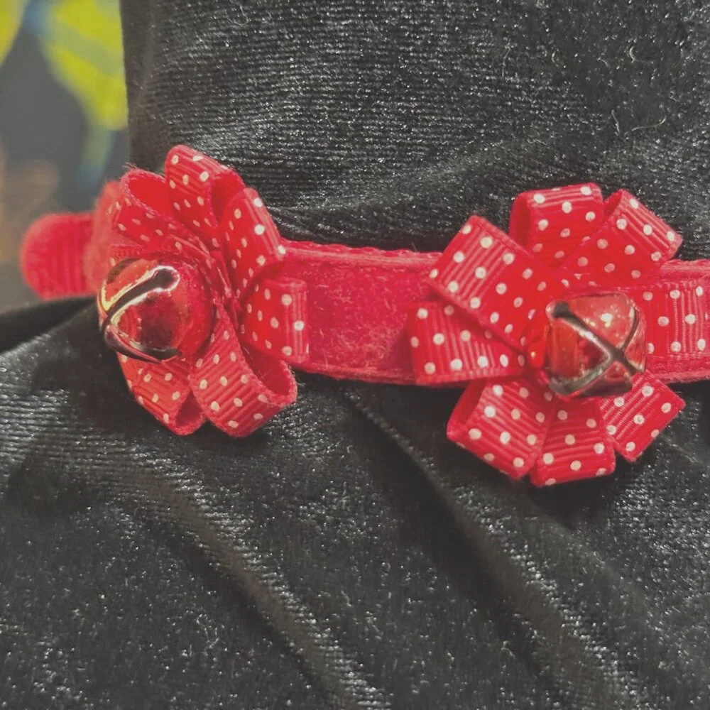 Pet Collar: Bows & Jingle Bells Standard Collar, Red Velvet with Polka Dots